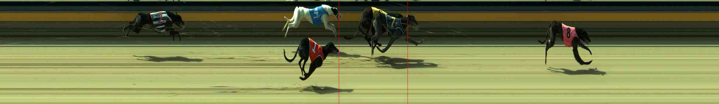 Photo finish for Sale Race 5