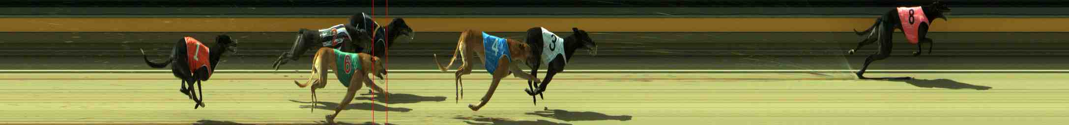 Photo finish for Sale Race 6