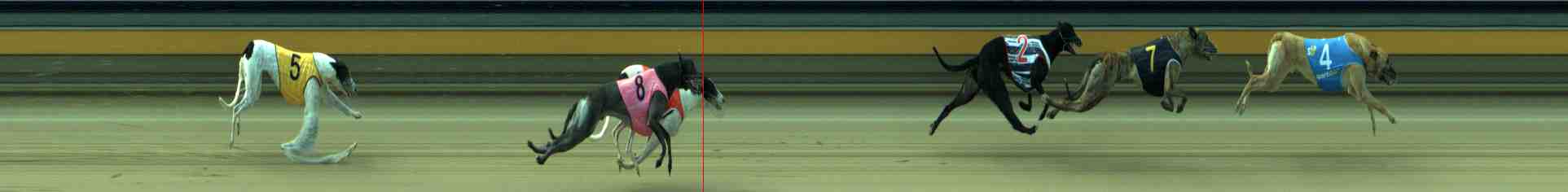 Photo finish for Sale Race 7