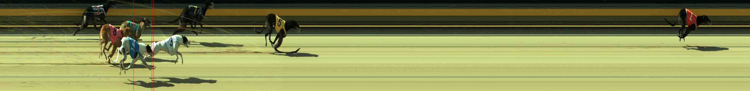 Photo finish for Sale Race 8