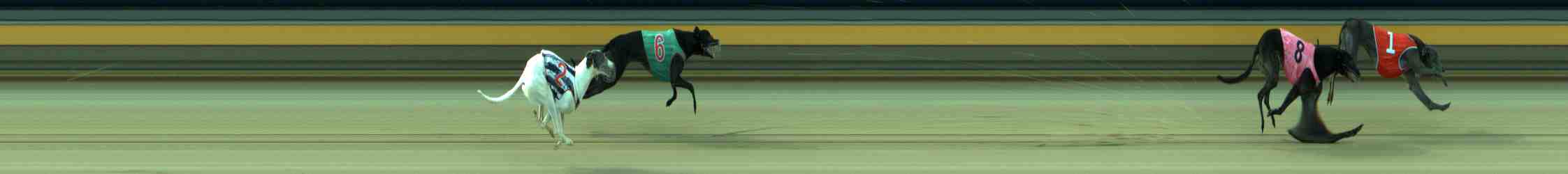 Photo finish for Sale Race 9