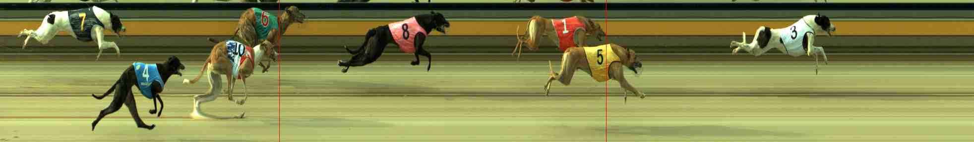 Photo finish for Sale Race 1