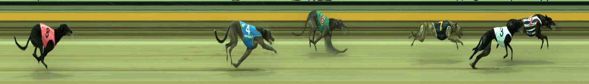 Photo finish for Sale Race 2