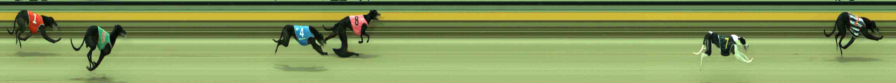 Photo finish for Sale Race 3