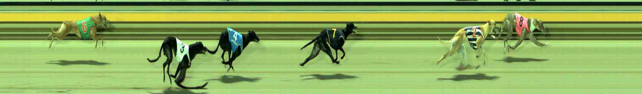 Photo finish for Sale Race 5