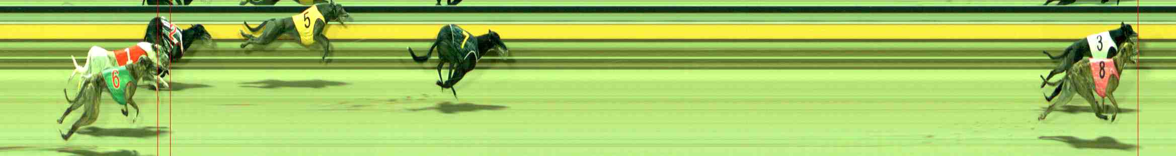 Photo finish for Sale Race 6