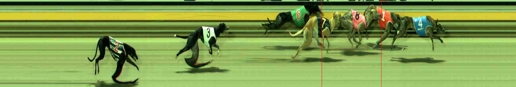 Photo finish for Sale Race 7