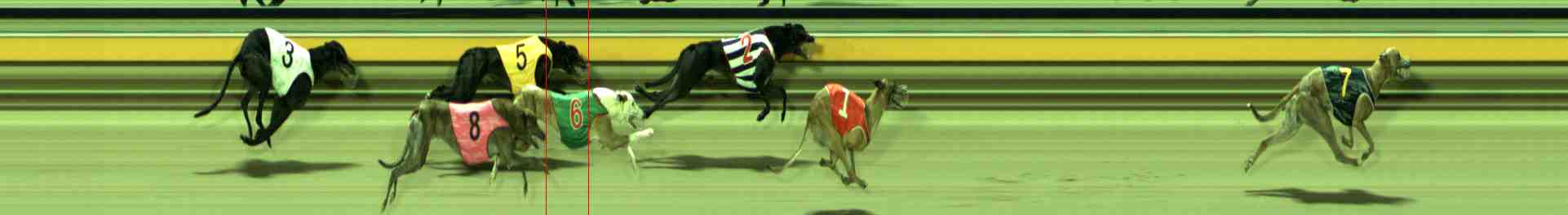 Photo finish for Sale Race 8