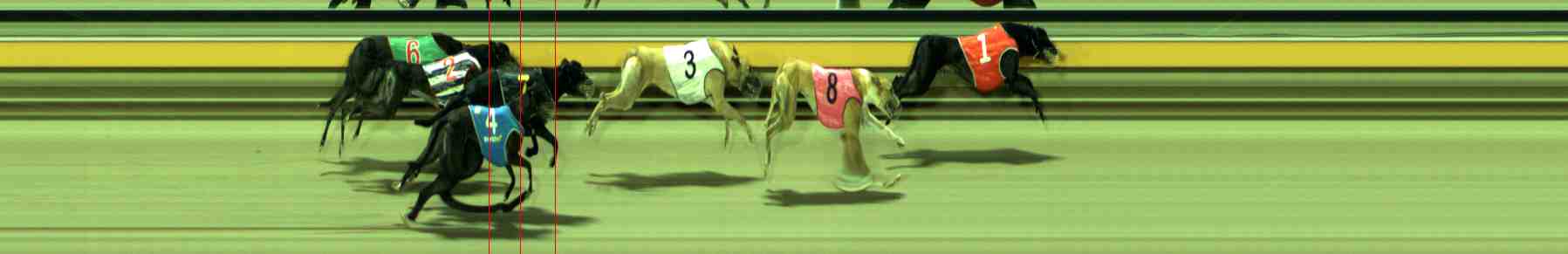 Photo finish for Sale Race 9