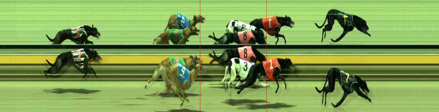 Photo finish for Sale Race 10