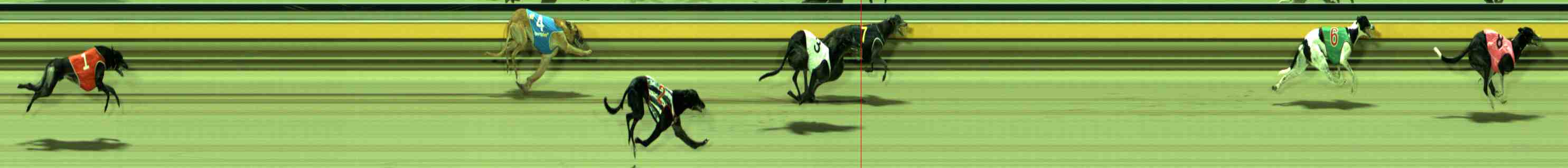 Photo finish for Sale Race 11