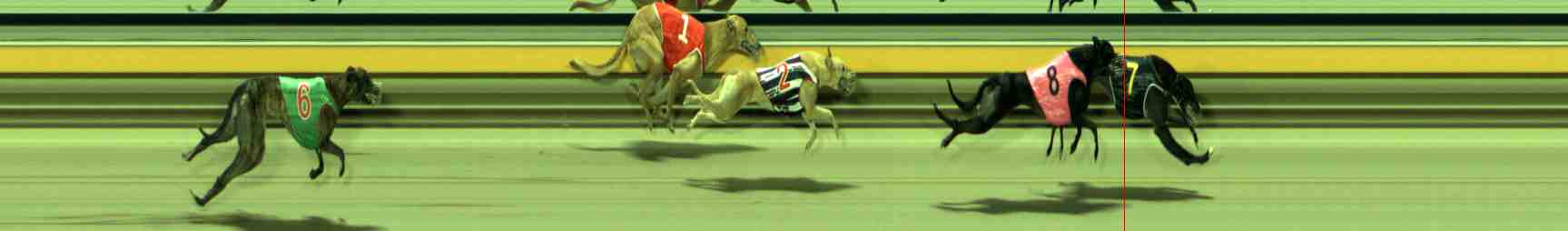 Photo finish for Sale Race 12