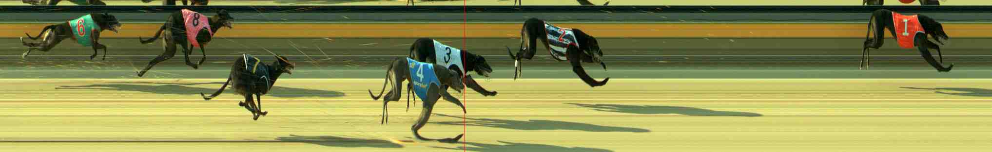 Photo finish for Sale Race 1