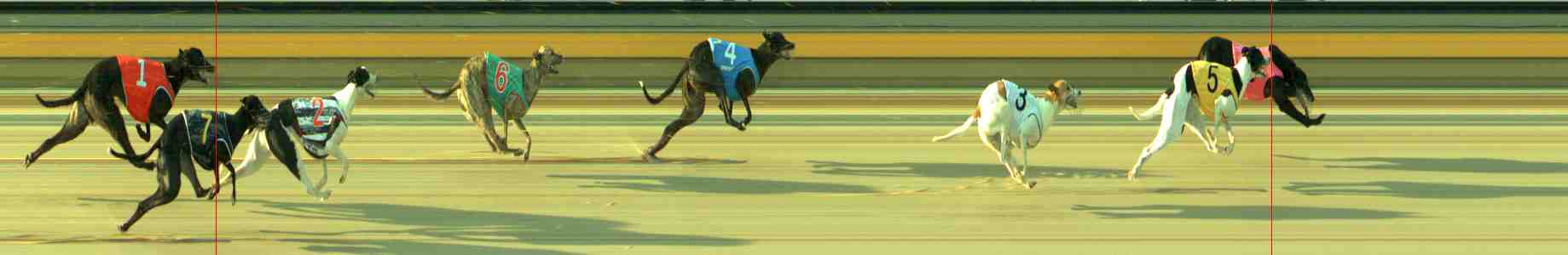 Photo finish for Sale Race 2