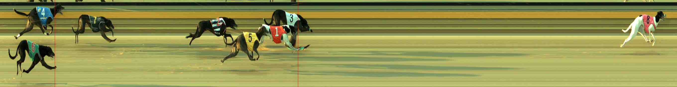 Photo finish for Sale Race 3