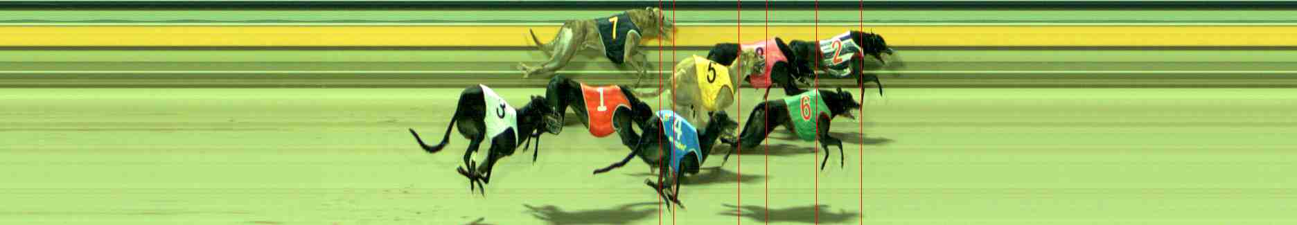 Photo finish for Sale Race 5