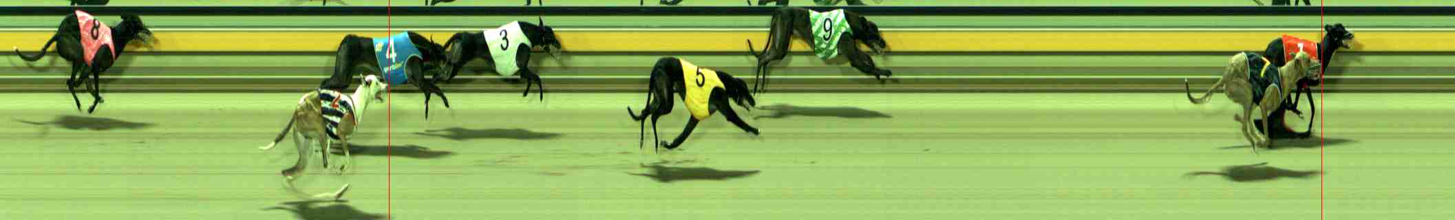 Photo finish for Sale Race 6