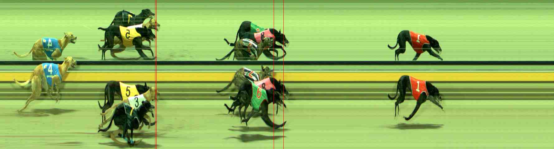 Photo finish for Sale Race 8