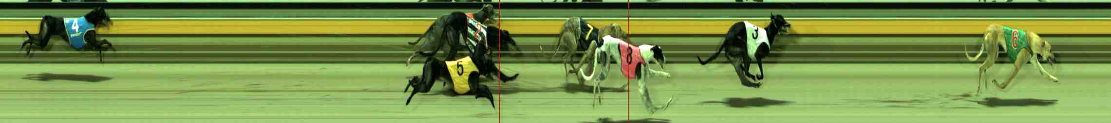 Photo finish for Sale Race 9