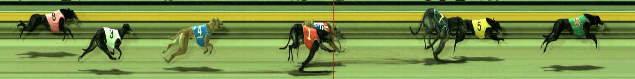 Photo finish for Sale Race 10