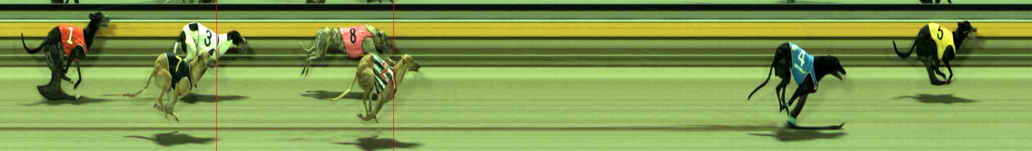 Photo finish for Sale Race 11