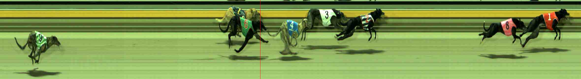 Photo finish for Sale Race 12