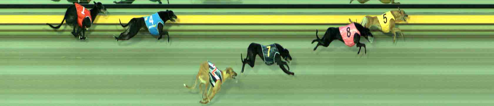 Photo finish for Sale Race 2