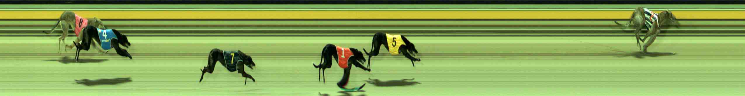 Photo finish for Sale Race 3