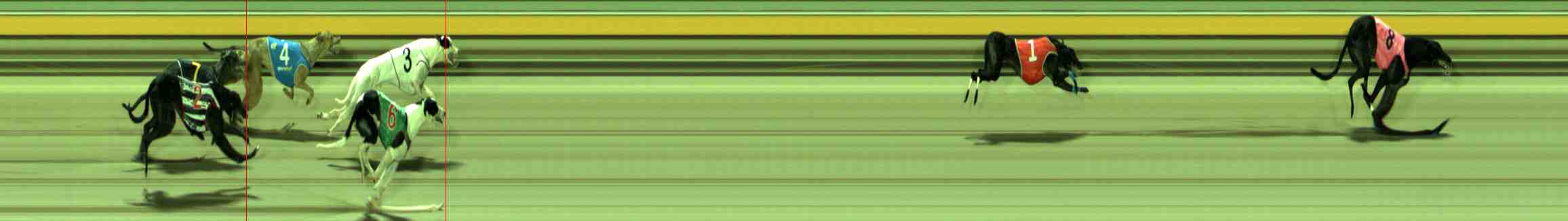 Photo finish for Sale Race 5