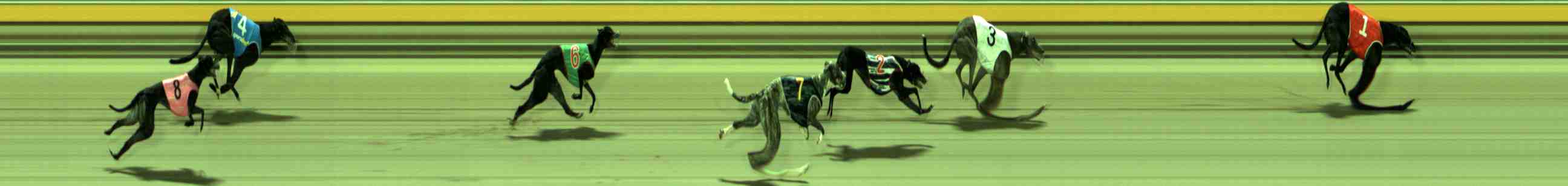Photo finish for Sale Race 6