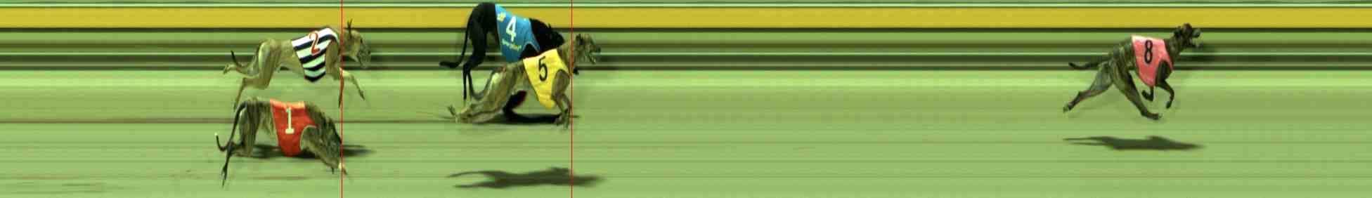 Photo finish for Sale Race 7