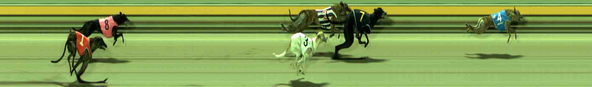 Photo finish for Sale Race 8