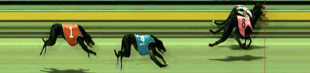 Photo finish for Sale Race 9