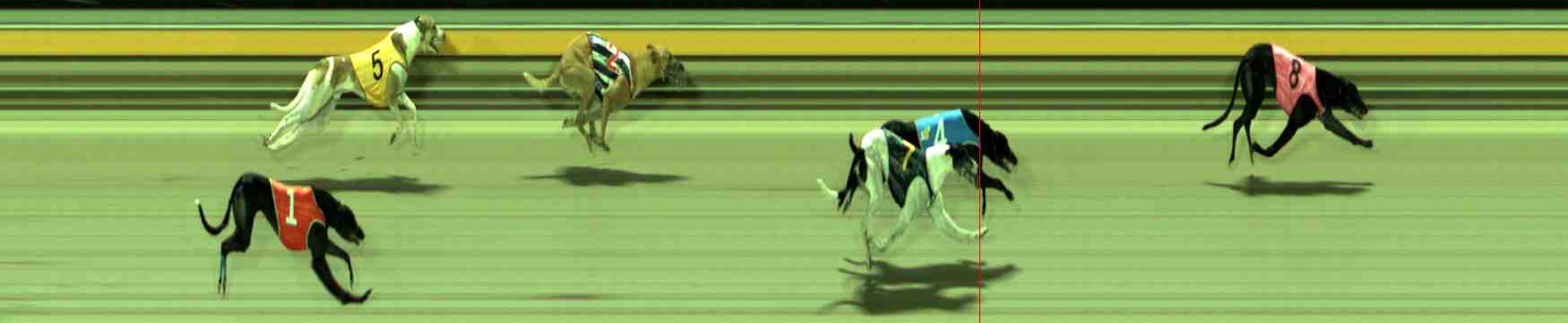 Photo finish for Sale Race 10