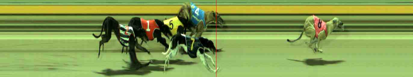 Photo finish for Sale Race 11