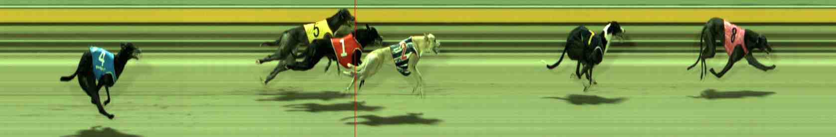 Photo finish for Sale Race 12