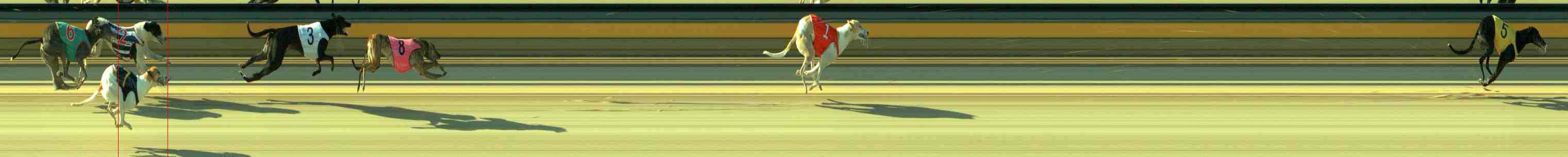 Photo finish for Sale Race 1