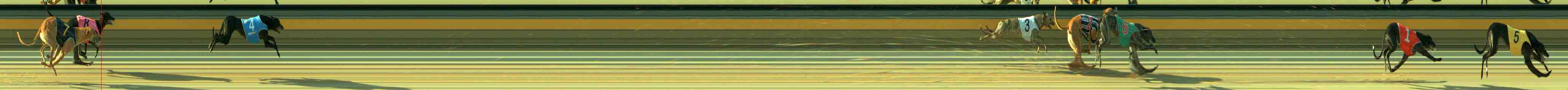 Photo finish for Sale Race 2