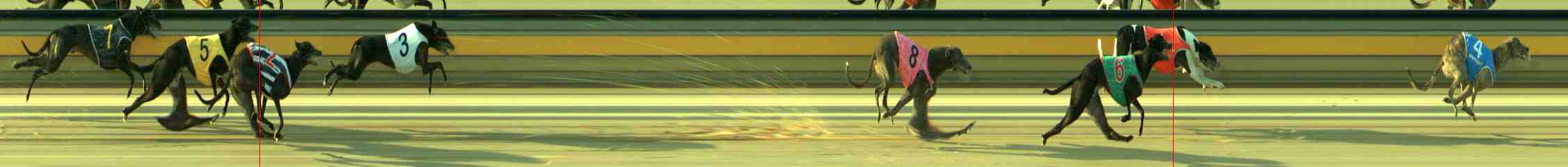 Photo finish for Sale Race 3