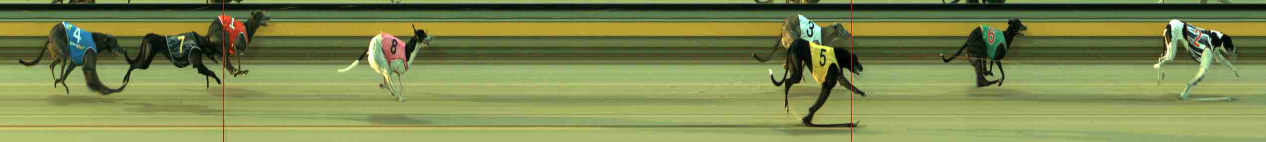 Photo finish for Sale Race 4