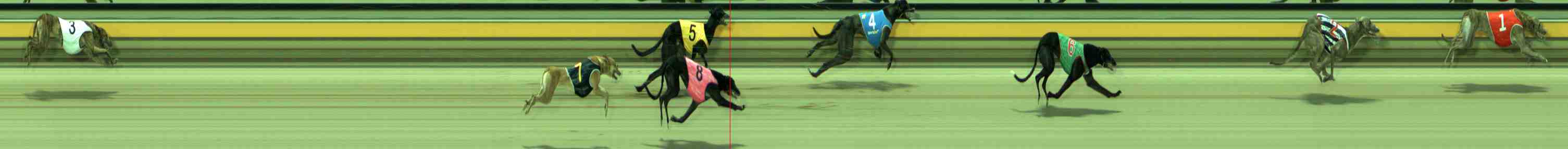 Photo finish for Sale Race 5