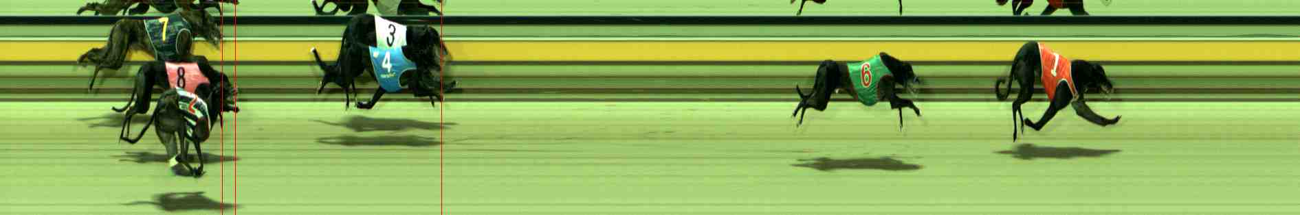 Photo finish for Sale Race 6