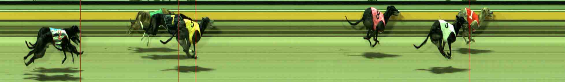Photo finish for Sale Race 7