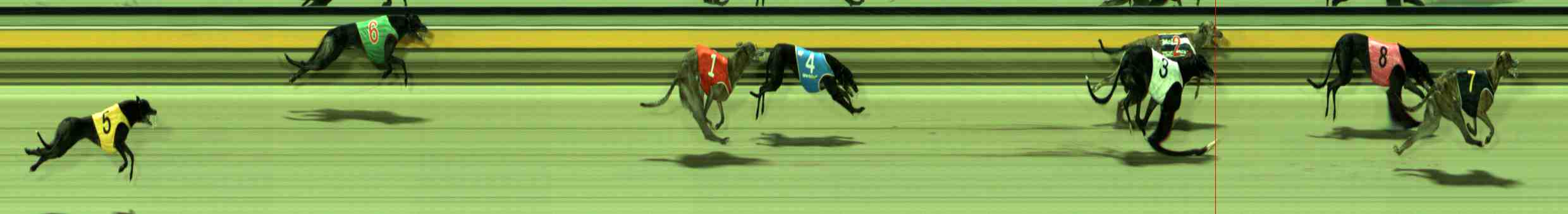 Photo finish for Sale Race 8