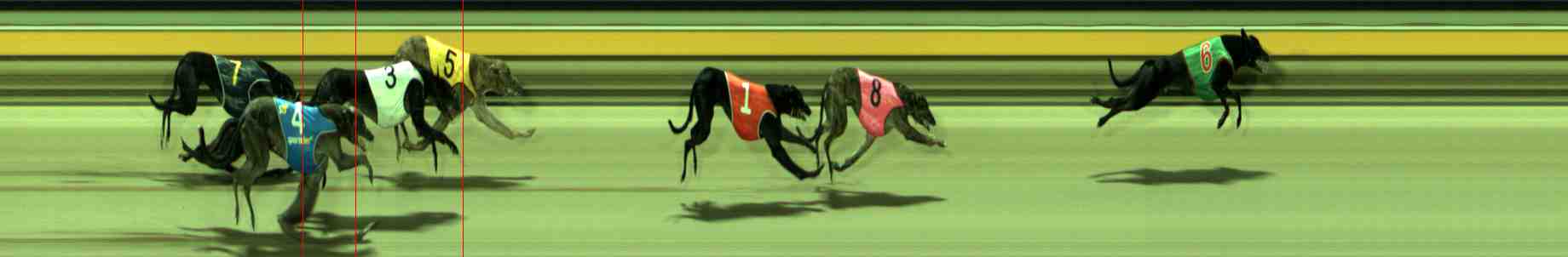 Photo finish for Sale Race 9