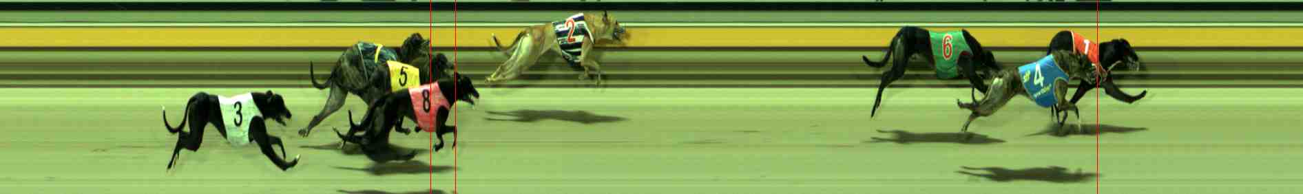 Photo finish for Sale Race 10