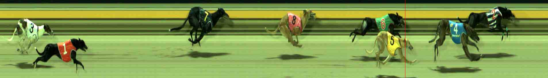 Photo finish for Sale Race 11