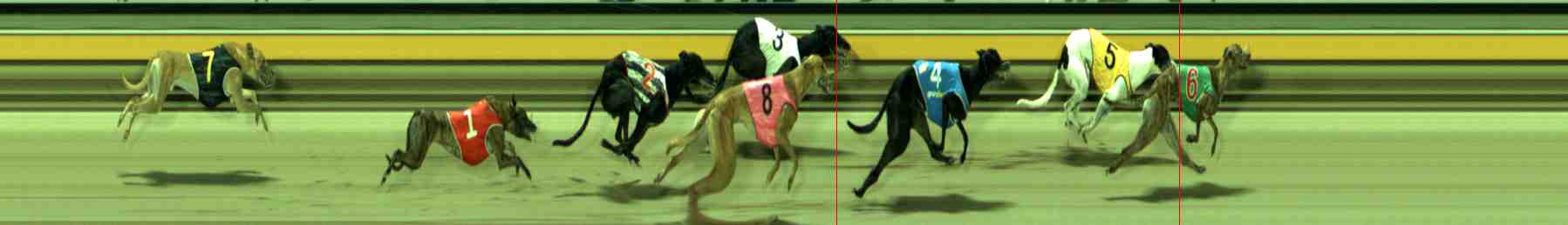 Photo finish for Sale Race 12