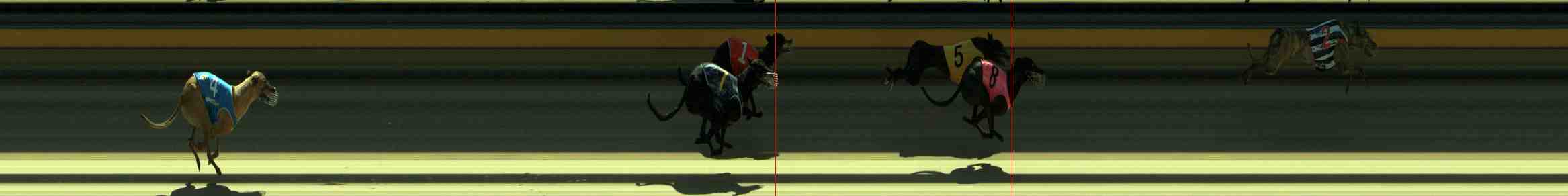Photo finish for Sale Race 1