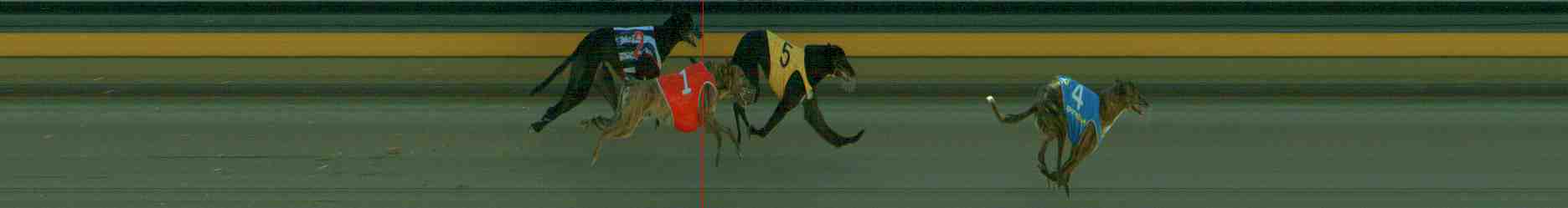 Photo finish for Sale Race 2